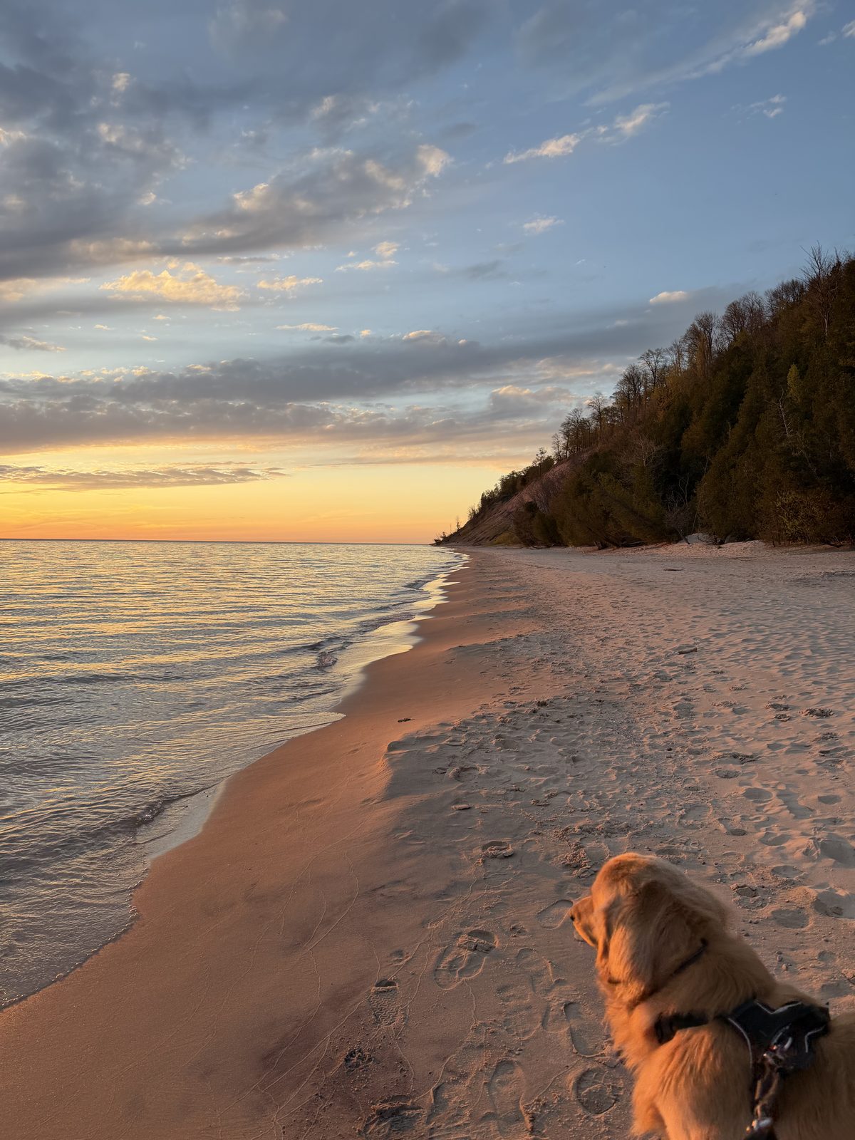 A Lake Michigan beach at sunset with one of Dr. Kelley's dogs at the water's edge