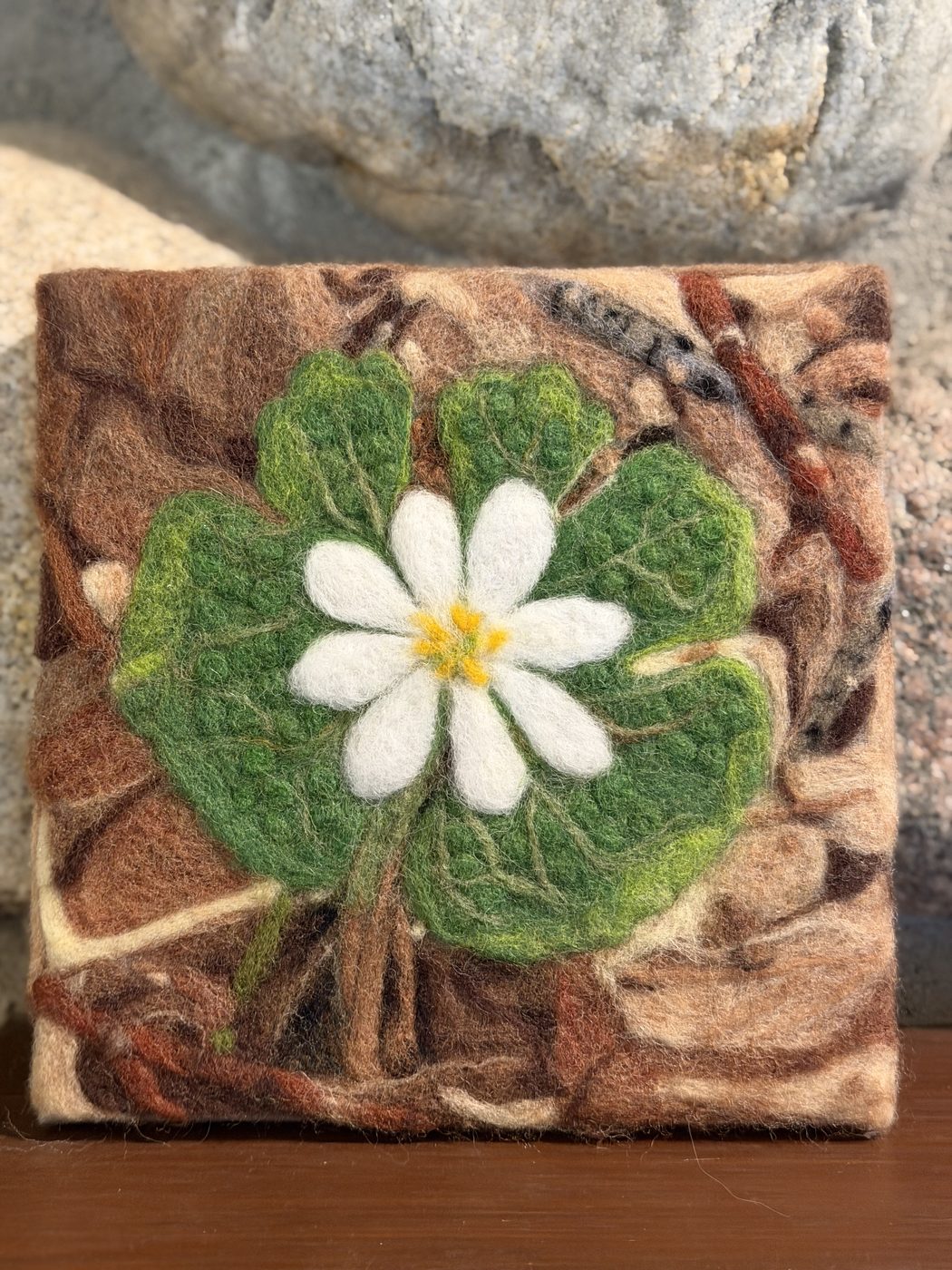 Needle-felted fiber painting of a bloodroot flower by Dr. Kelley